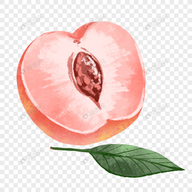 WWW,lll81·COM网站APPAPP应用